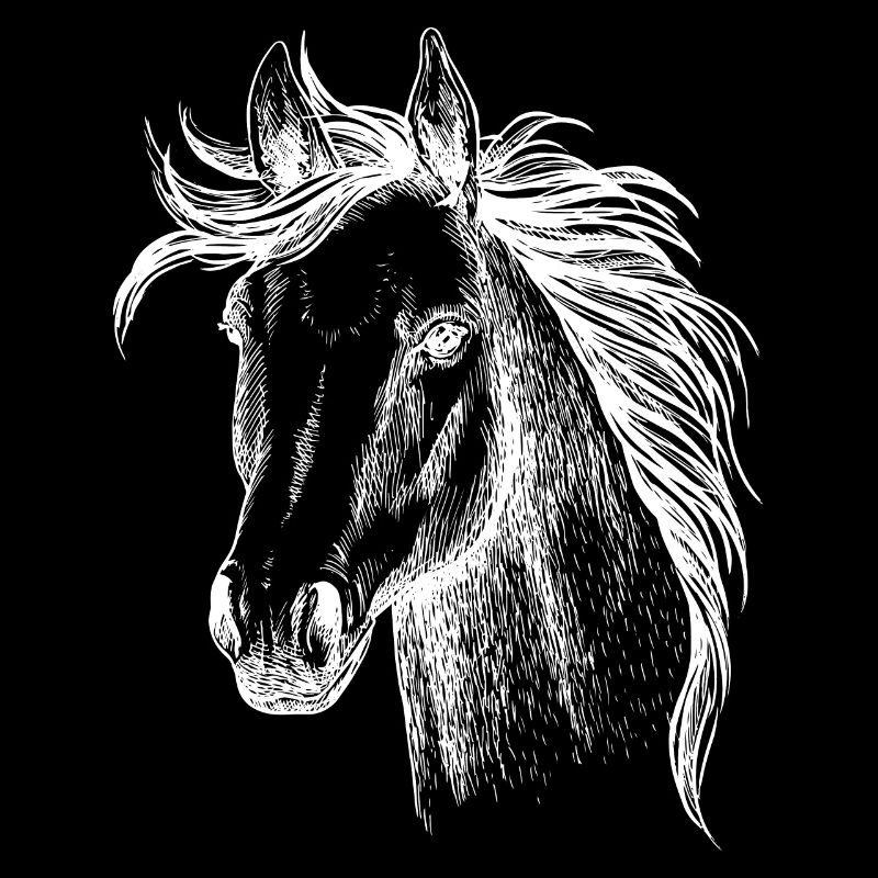 Beau cheval