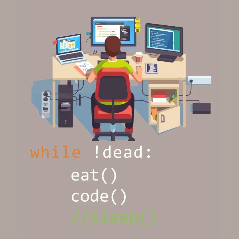 Informatique Python Programmeur Manger Code Sommeil