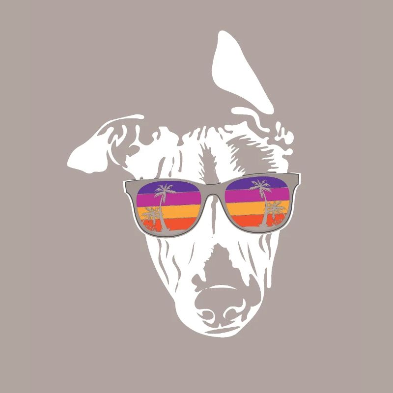 Whippet