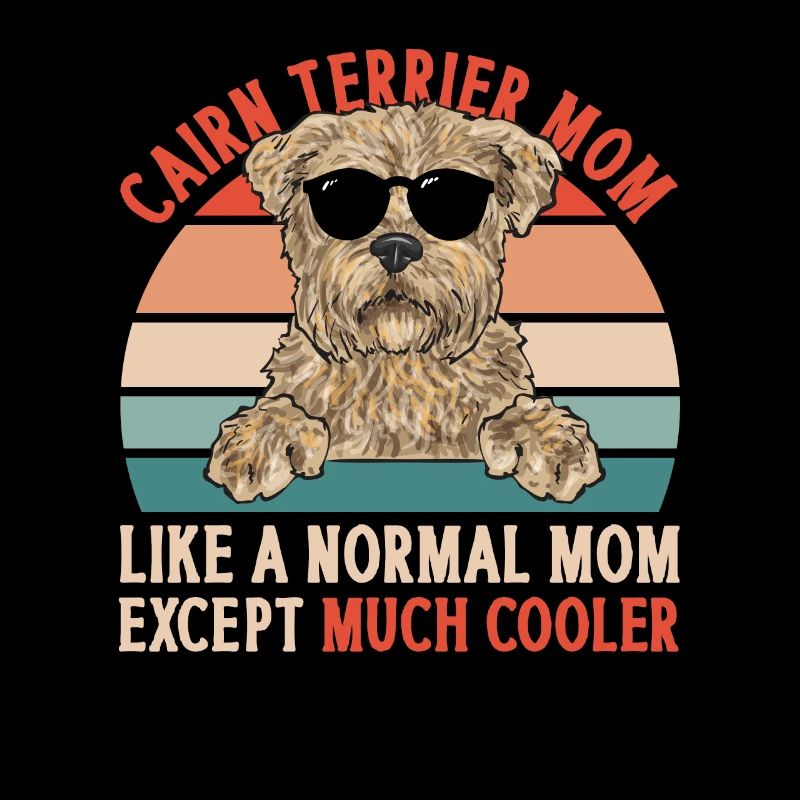 Cairn Terrier Chien