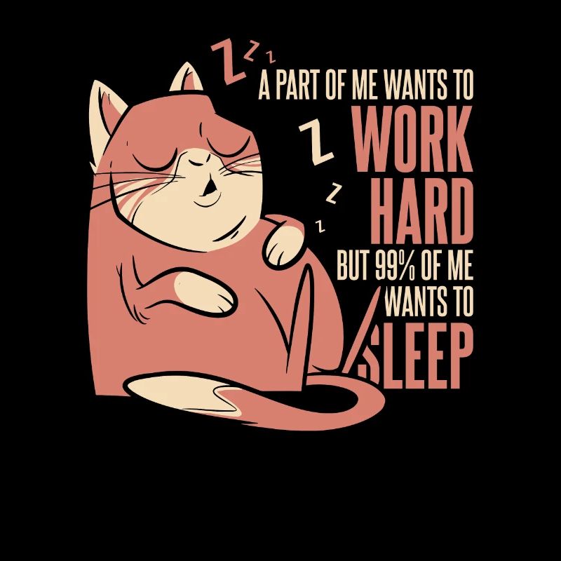 Humour de chat