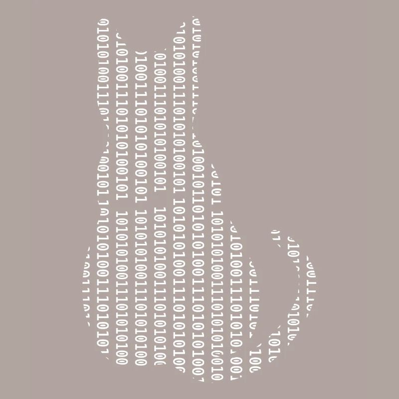 Informaticien Cat Admin Programmeur