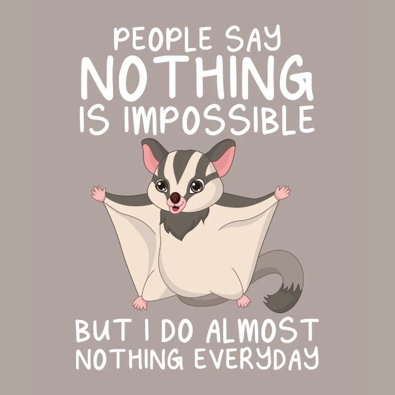 Sugar Glider Flughörnchen