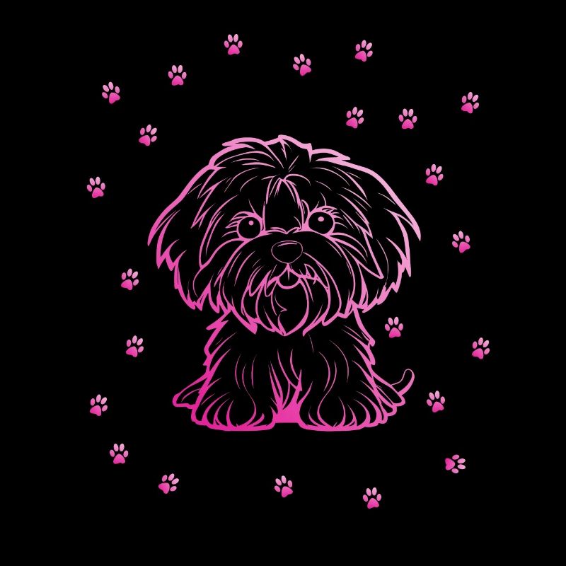 Havanese mit kleinen Pfoten