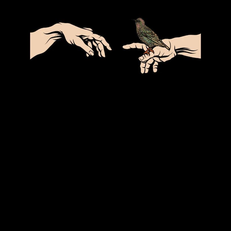 Étourneau sansonnet de l’année Étourneau sansonnet sansonnet