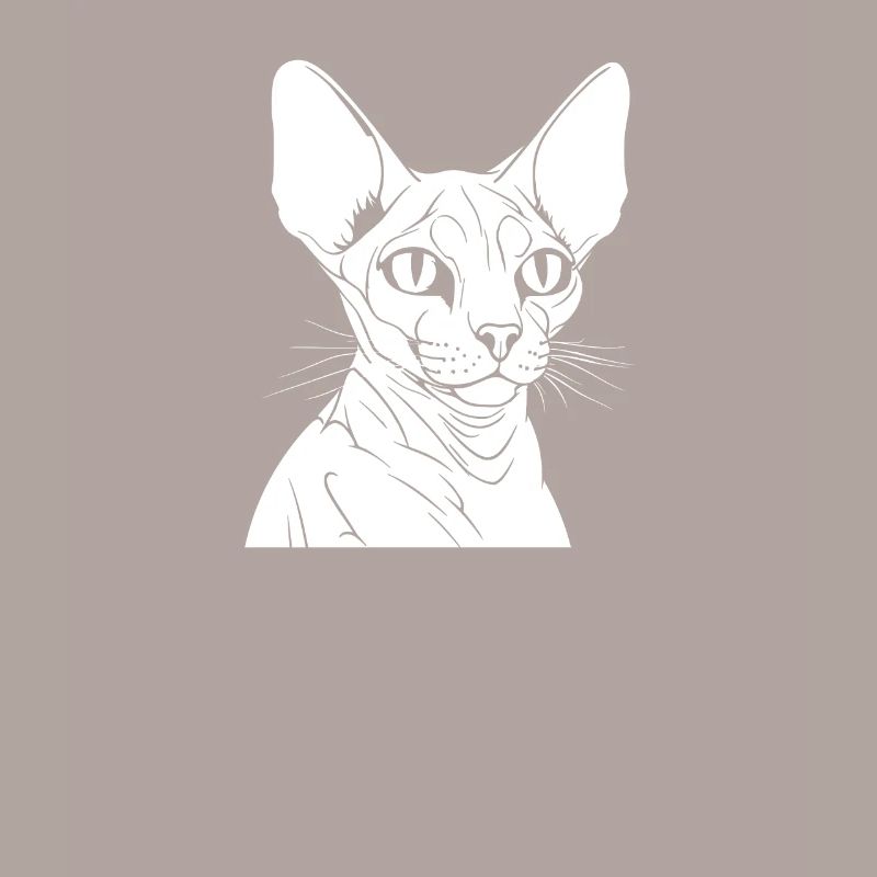 Sphynx Cat