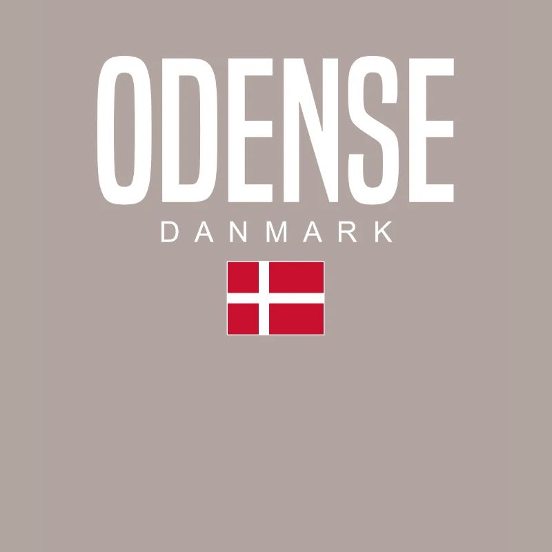 Odense Dänemark