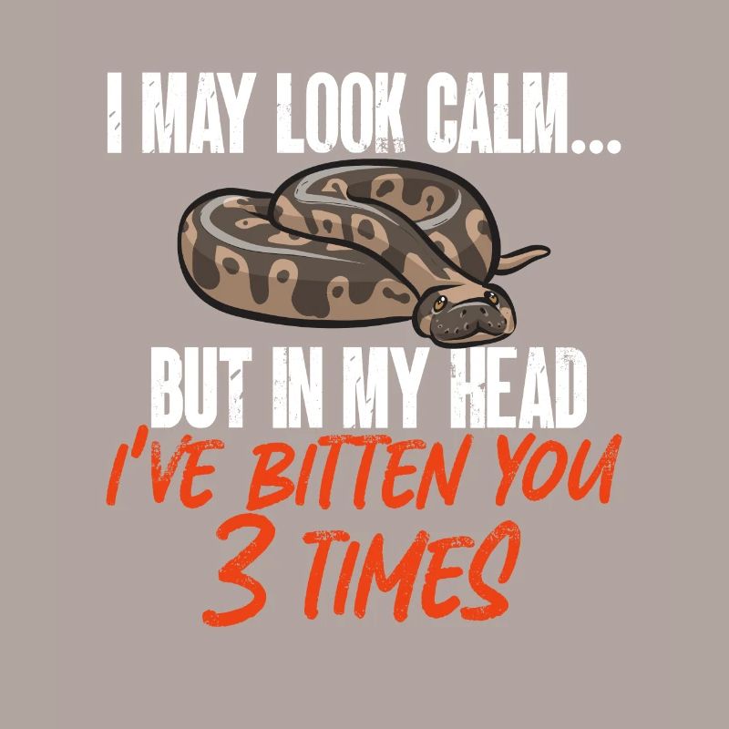 Ball Python Snake King Python