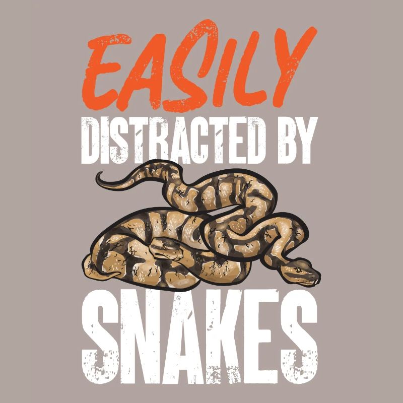 Ball Python Snake King Python