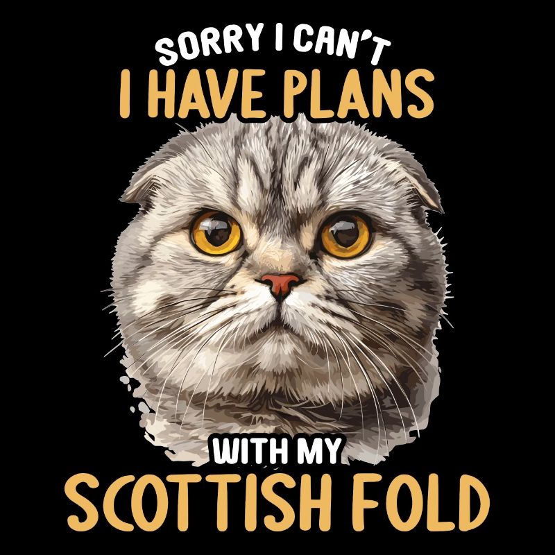 Scottish Fold Kätzchen Scottish Fold Katze