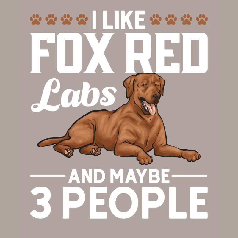 Fuchsroter Labrador Retriever Fox Red Labrador