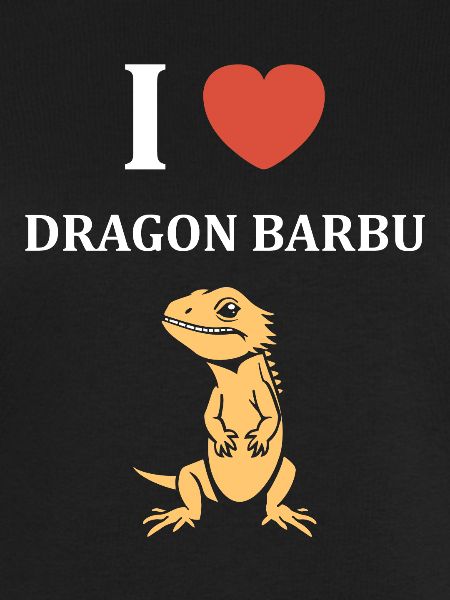 Dragon barbu
