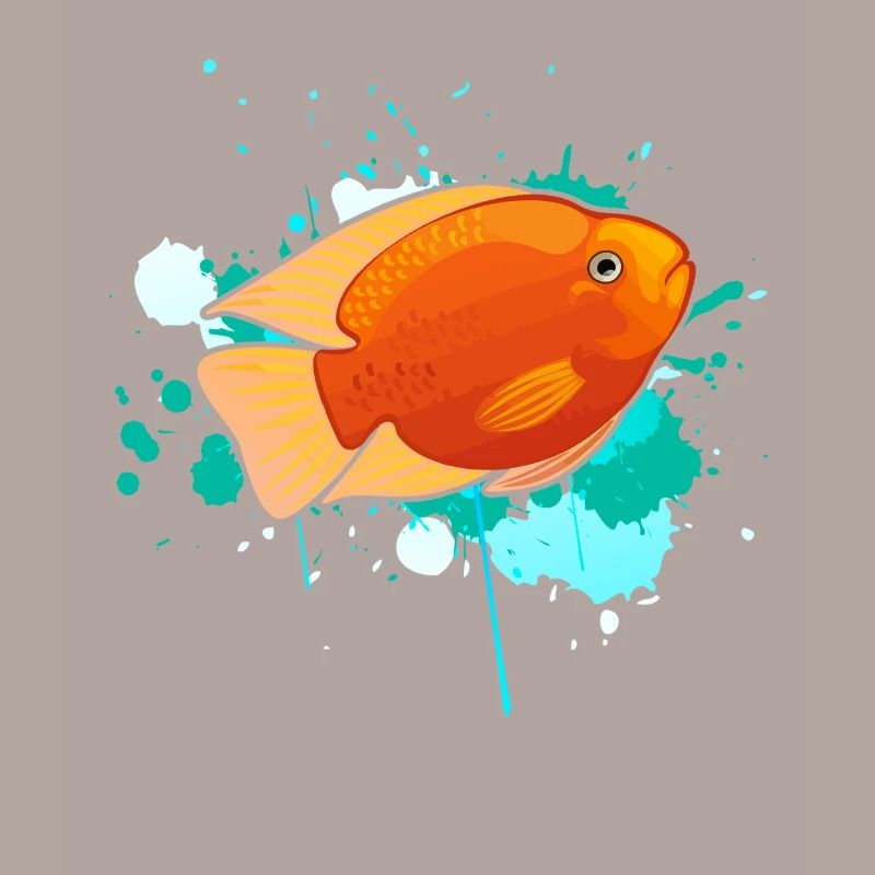 Cute Cichlid Fish