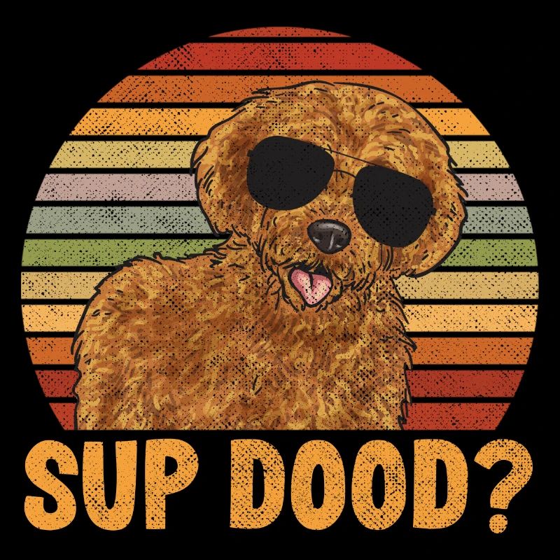 Labradoodle Hund