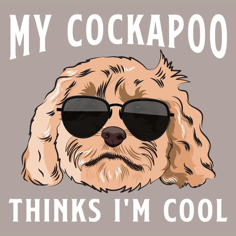 Cockapoo Chien