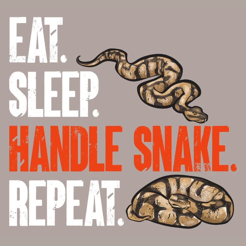 Ball Python Snake King Python