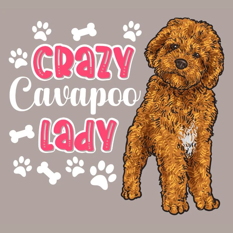 Cavapoo Cavoodle Capoodle Chien
