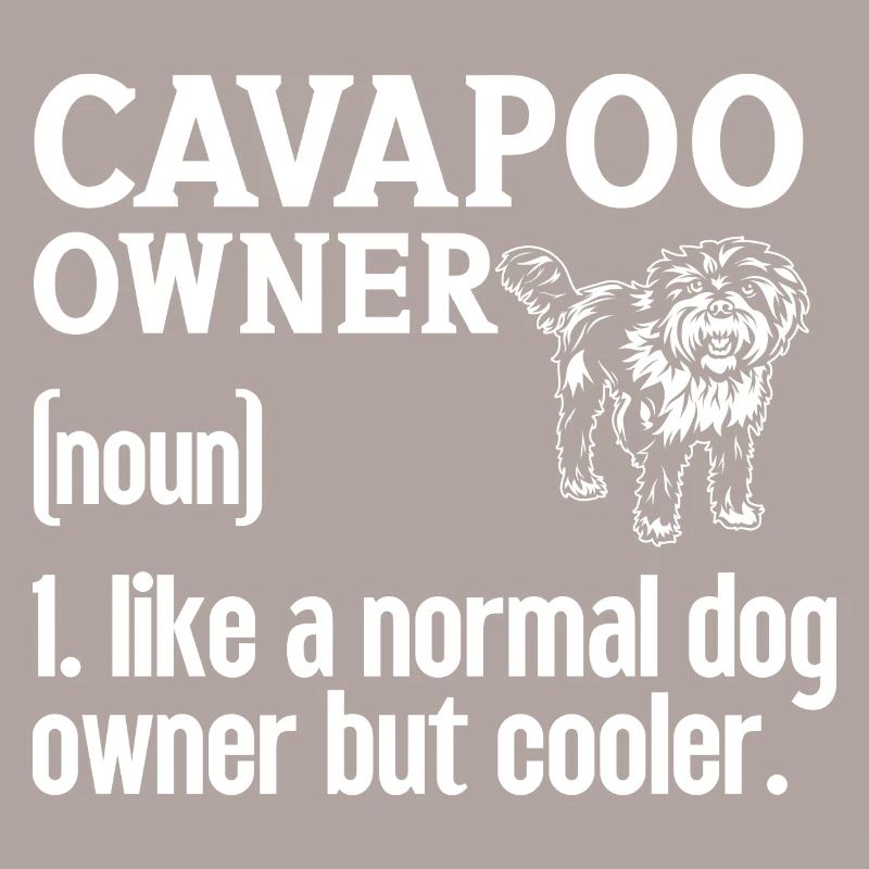 Cavapoo Cavoodle Capoodle Chien