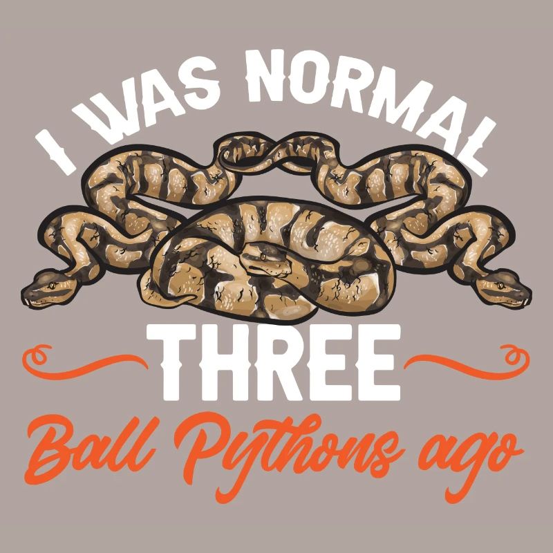 Ball Python Snake King Python