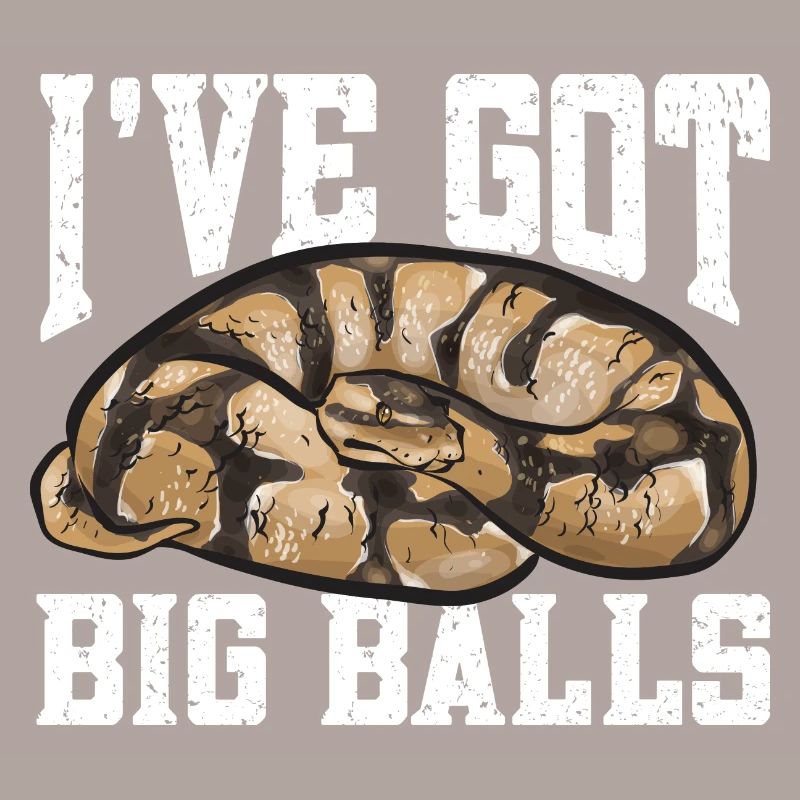 Ball Python Snake King Python