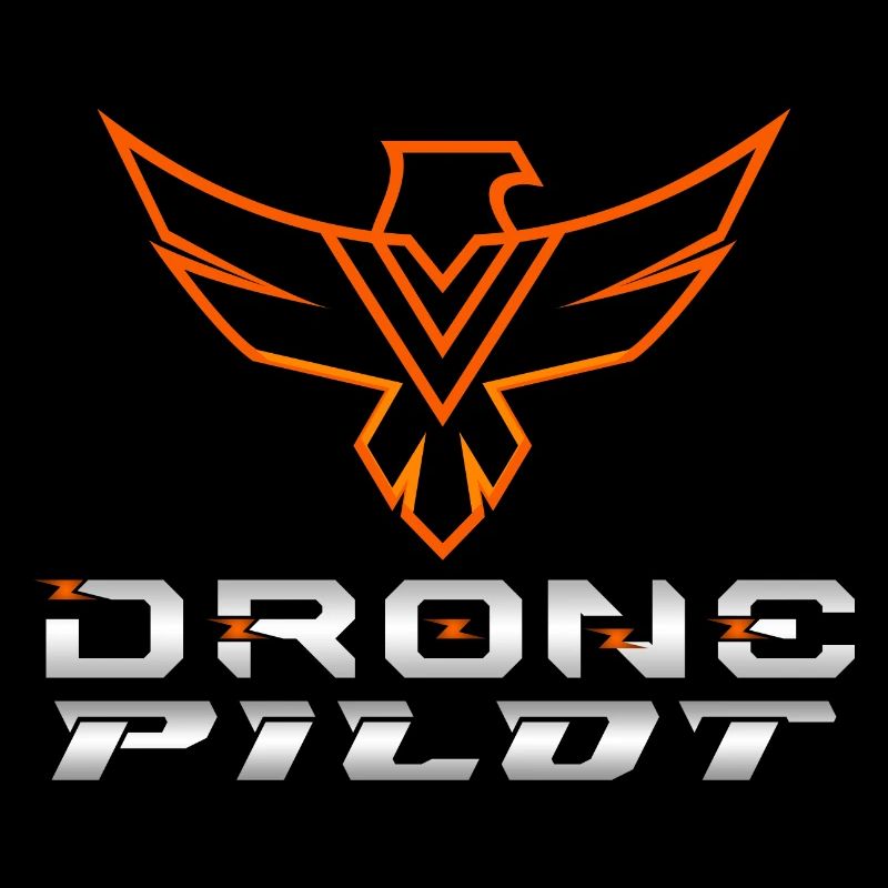 Drone Drones Drone Flight Drone Pilot