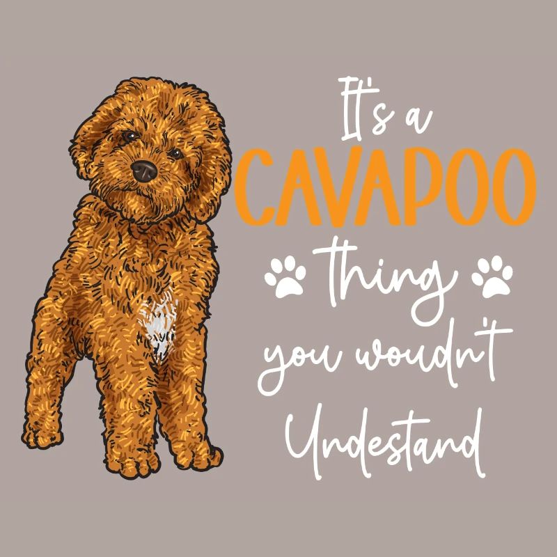 Cavapoo Cavoodle Capoodle Dog