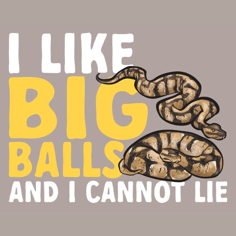 Ball Python Snake King Python