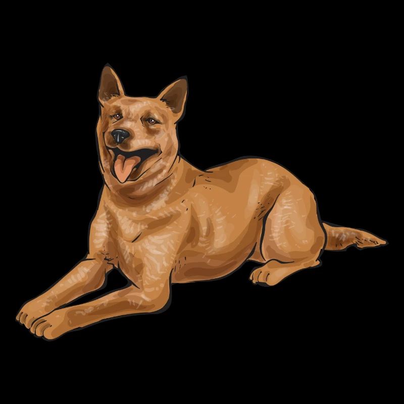 Australian Cattle Dog Red Blue Heeler