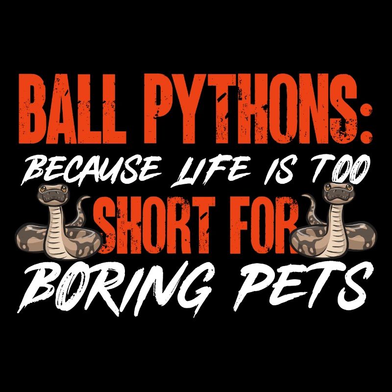 Ball Python Snake King Python