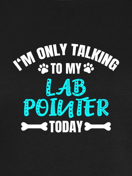 Lab Pointer