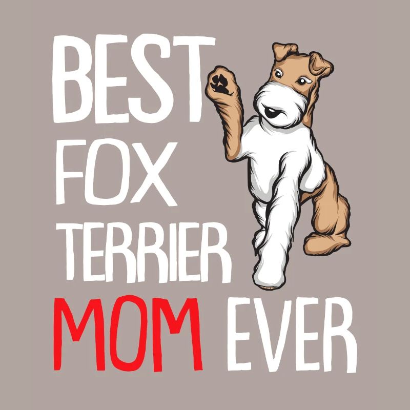Foxterrier Drahthaar | Foxterrier