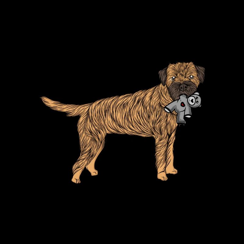 Border Terrier