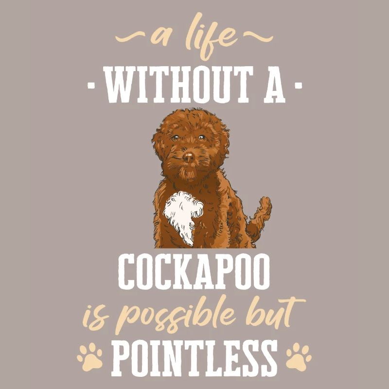 Cockapoo Chien