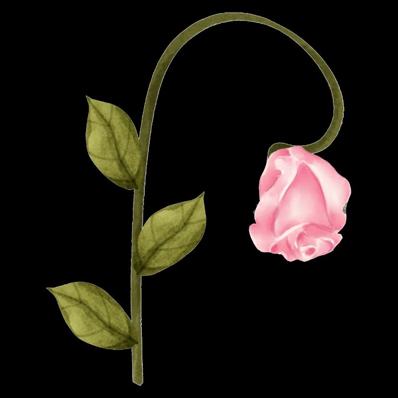 Pink Rose