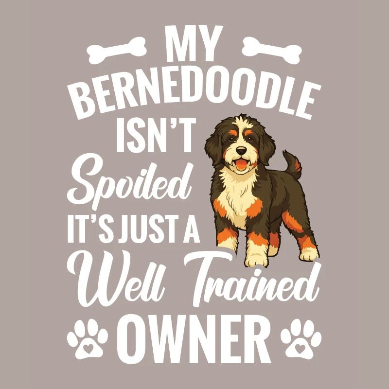 Mon Bernedoodle n’est pas gâté, c’est juste