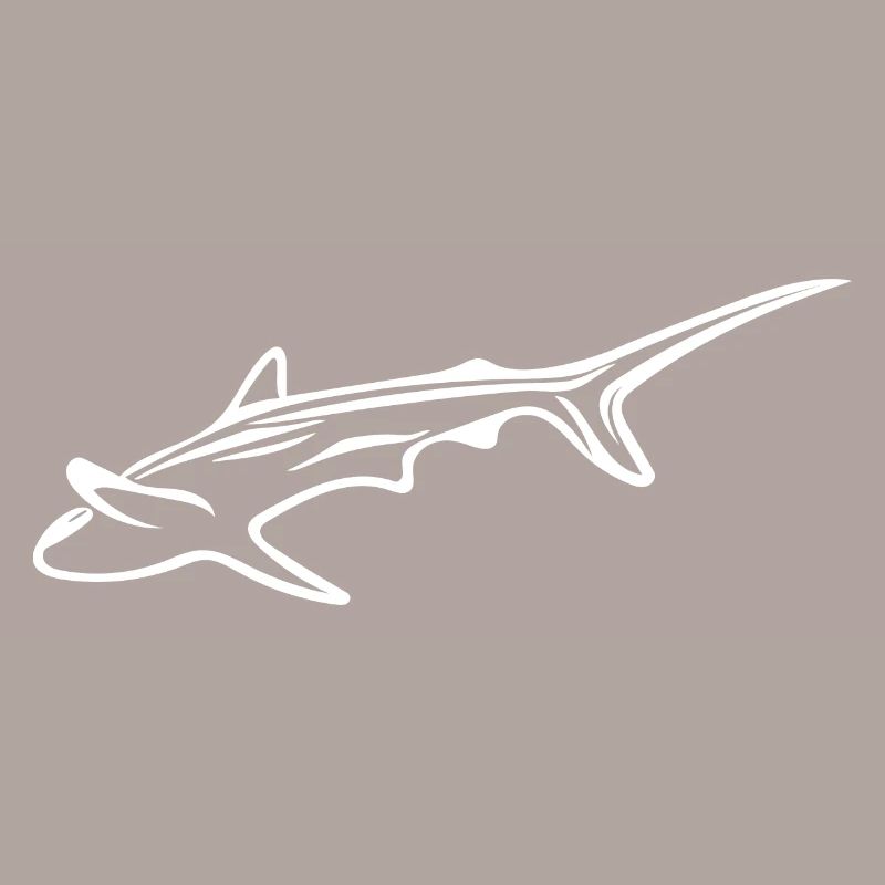 Elegant shark in drift current