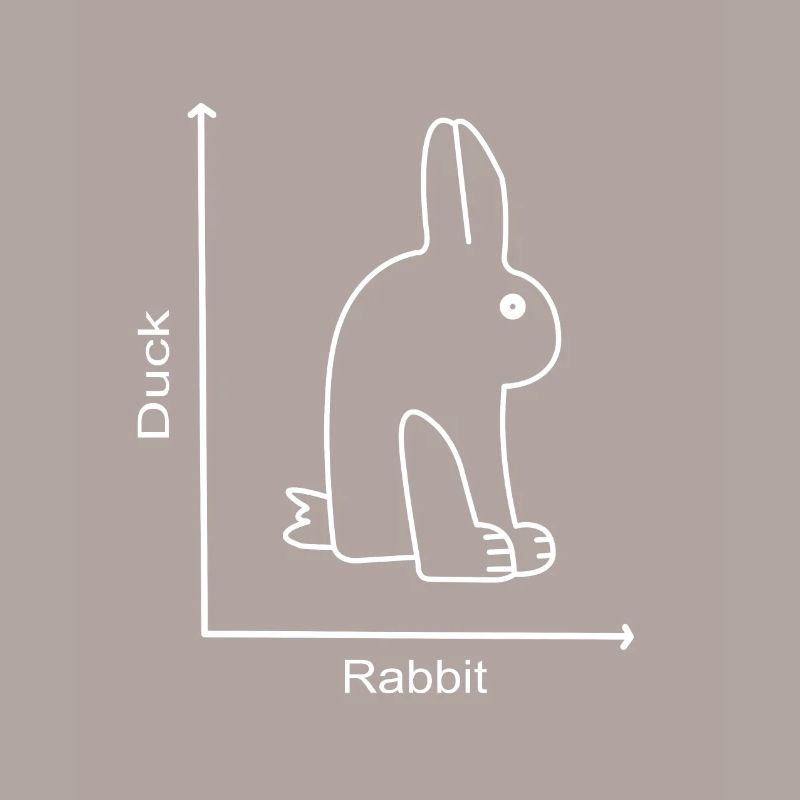 LAPIN DE CANARD - Canard lapin - Leçon de graphique