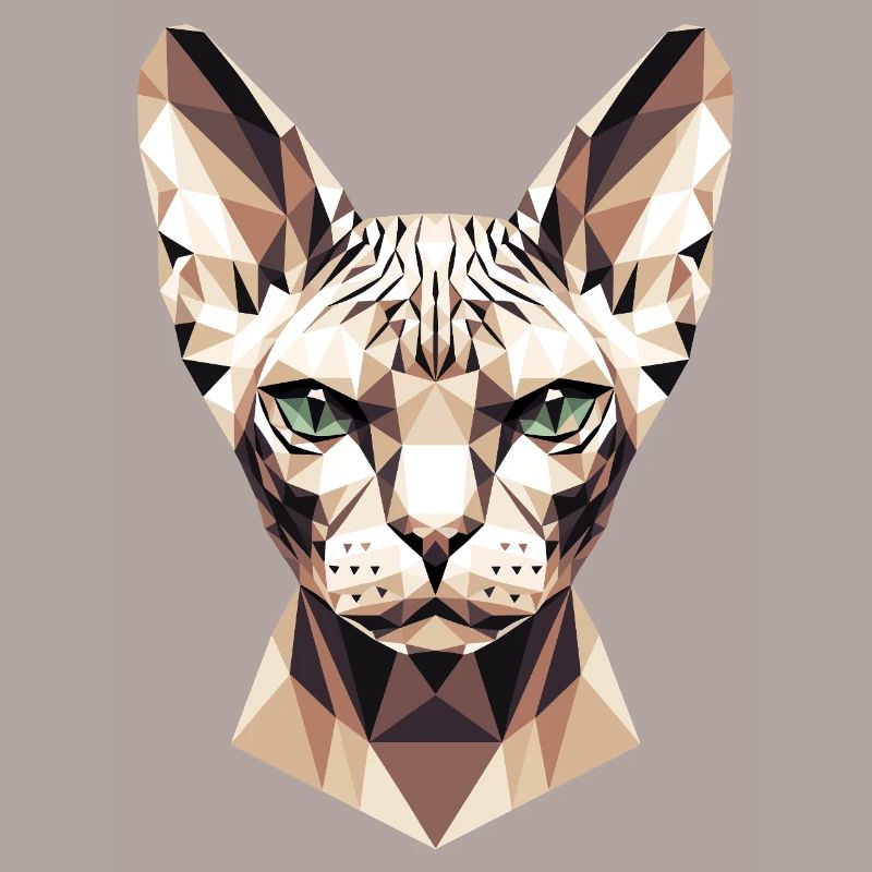 Sphynx Chat Sphynx Chat Chat Canadien Sphinx mignon