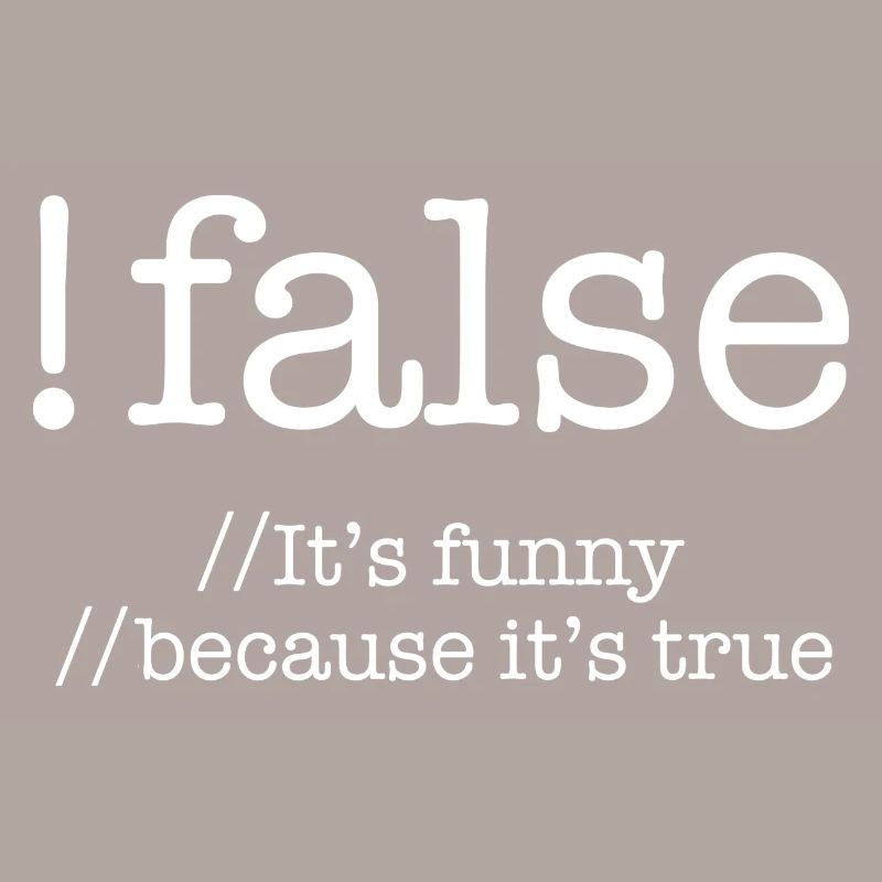 False Programming Coding Programmers Gift