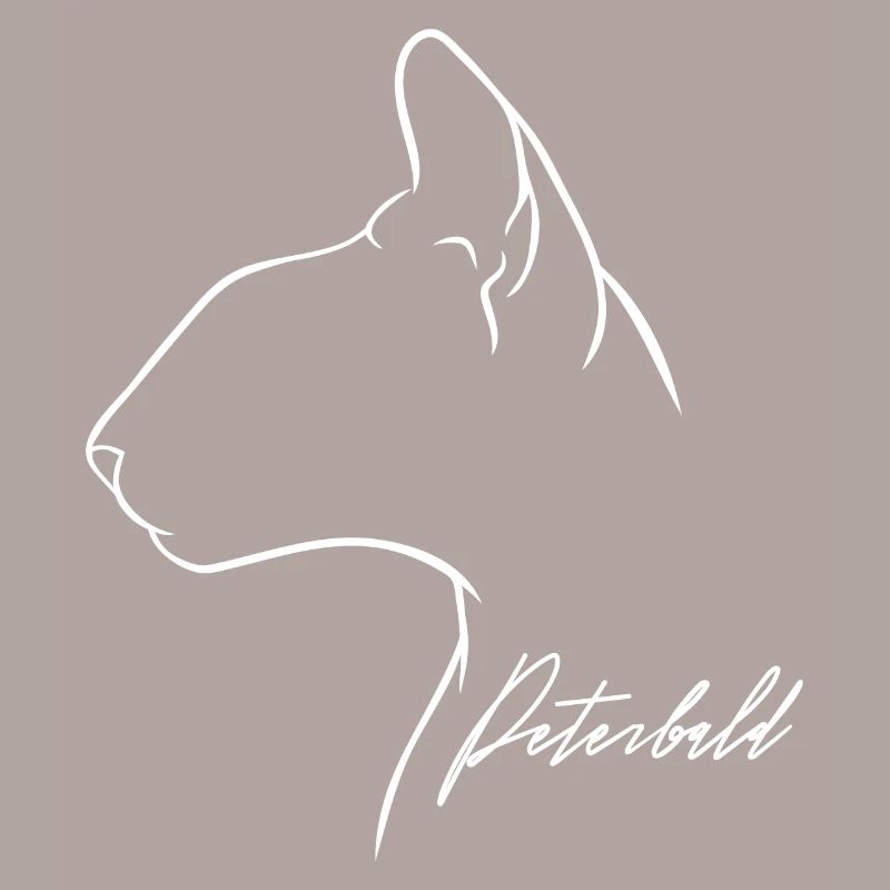 Peterbald Profil Chat Chat Wilsigns