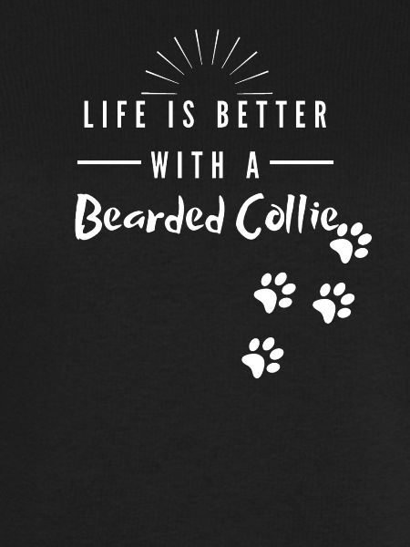 Bearded Collie