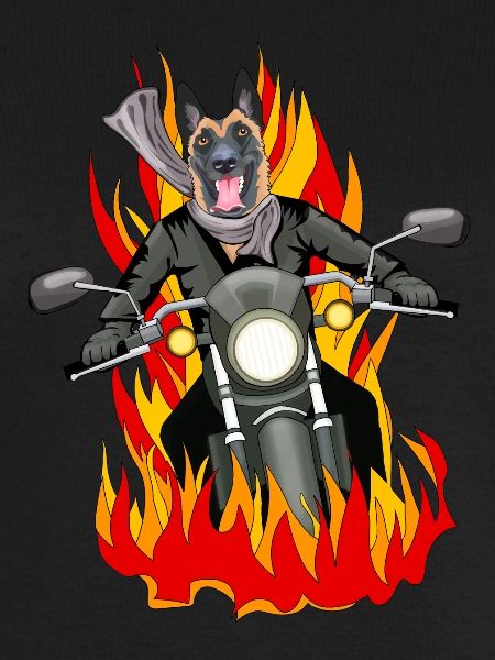 Fire malinois