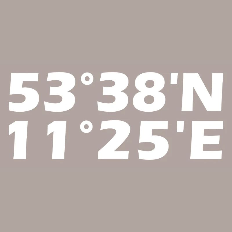 Schwerin coordinates