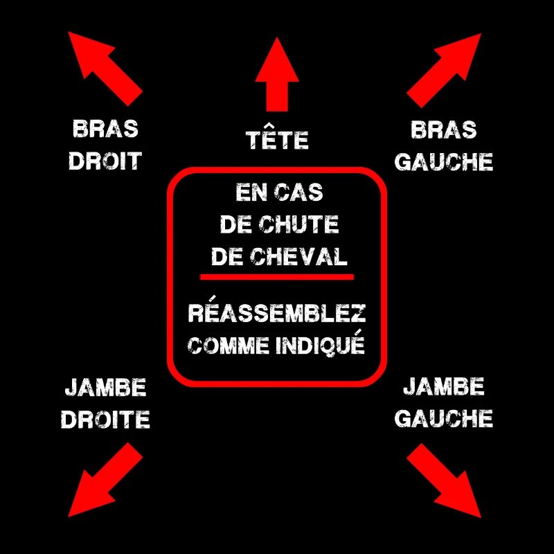 En cas de chute réassemblez comme indiqué