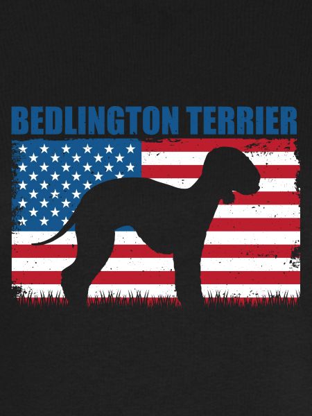 Bedlington Terrier
