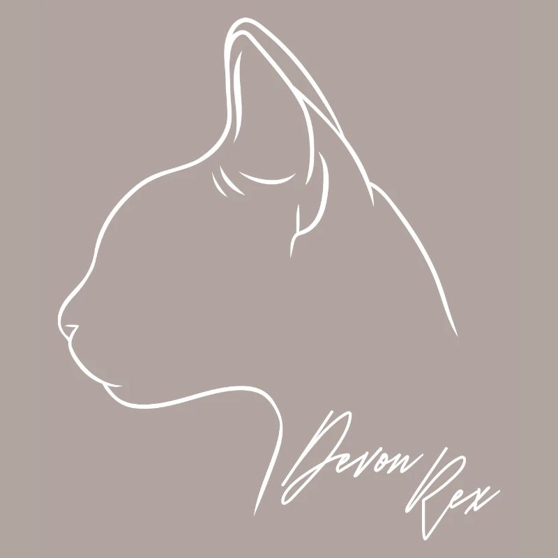 Devon Rex Profil Chat Chat Wilsigns