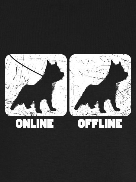 Cairn Terrier