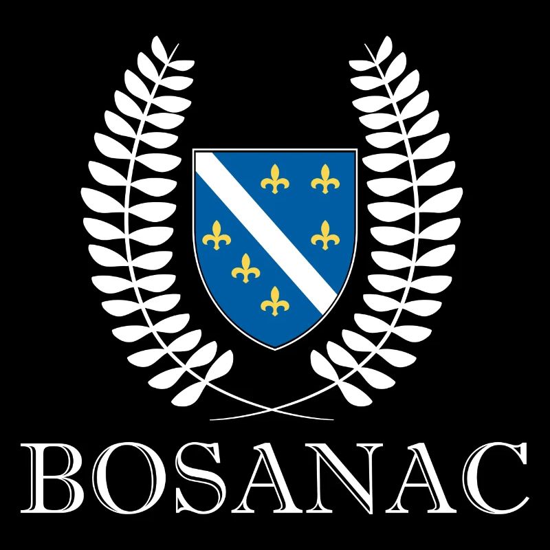 Bosnie serbe bosnie jeune
