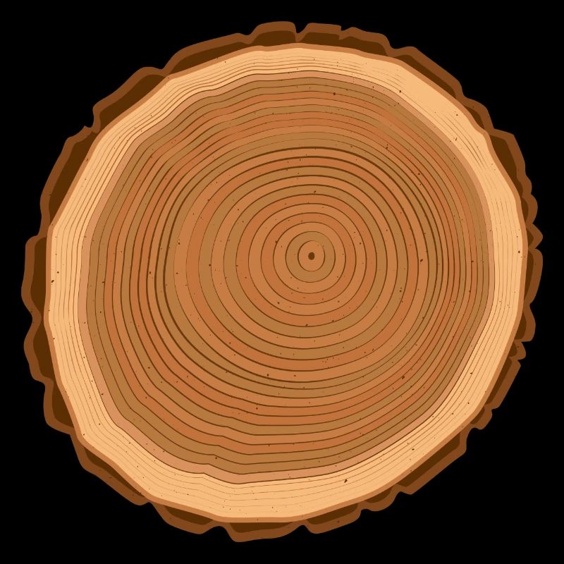 Holz