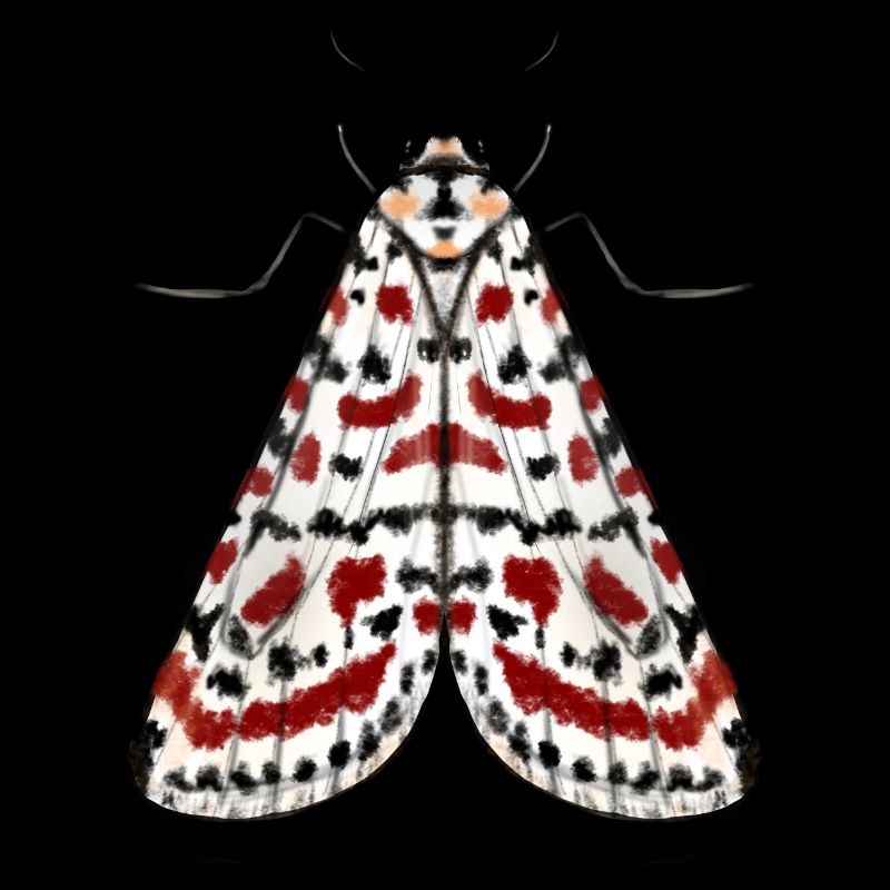 Mite